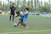 2021年9月23日に開催されたマルソーカップ第19回新潟県キッズサッカー大会県大会の様子