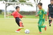 2019年7月21日に開催された県民共済カップ第17回キッズサッカー大会中越地区県央ブロック予選の様子