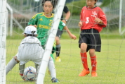 2019年7月21日に開催された県民共済カップ第17回キッズサッカー大会中越地区県央ブロック予選の様子