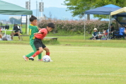 2019年7月21日に開催された県民共済カップ第17回キッズサッカー大会中越地区県央ブロック予選の様子