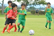 2019年7月21日に開催された県民共済カップ第17回キッズサッカー大会中越地区県央ブロック予選の様子