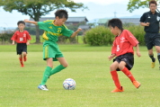 2019年7月21日に開催された県民共済カップ第17回キッズサッカー大会中越地区県央ブロック予選の様子