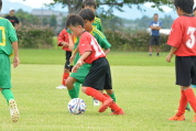 2019年7月21日に開催された県民共済カップ第17回キッズサッカー大会中越地区県央ブロック予選の様子