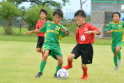 2019年7月21日に開催された県民共済カップ第17回キッズサッカー大会中越地区県央ブロック予選の様子