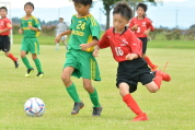 2019年7月21日に開催された県民共済カップ第17回キッズサッカー大会中越地区県央ブロック予選の様子