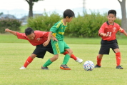 2019年7月21日に開催された県民共済カップ第17回キッズサッカー大会中越地区県央ブロック予選の様子