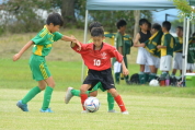 2019年7月21日に開催された県民共済カップ第17回キッズサッカー大会中越地区県央ブロック予選の様子