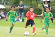 2019年7月21日に開催された県民共済カップ第17回キッズサッカー大会中越地区県央ブロック予選の様子