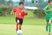 2019年7月21日に開催された県民共済カップ第17回キッズサッカー大会中越地区県央ブロック予選の様子