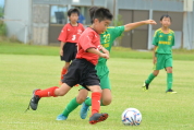 2019年7月21日に開催された県民共済カップ第17回キッズサッカー大会中越地区県央ブロック予選の様子