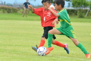 2019年7月21日に開催された県民共済カップ第17回キッズサッカー大会中越地区県央ブロック予選の様子