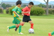 2019年7月21日に開催された県民共済カップ第17回キッズサッカー大会中越地区県央ブロック予選の様子