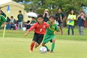 2019年7月21日に開催された県民共済カップ第17回キッズサッカー大会中越地区県央ブロック予選の様子