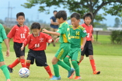 2019年7月21日に開催された県民共済カップ第17回キッズサッカー大会中越地区県央ブロック予選の様子