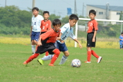 2019年9月1日に開催された第27回新潟県U-11サッカー大会中越地区県央ブロック予選の様子