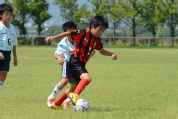 2020年8月29日に開催された第28回新潟県U-11サッカー大会中越地区県央ブロック予選の様子