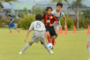 2020年9月13日に開催された第44回全日本U-12サッカー選手権県央予選の様子