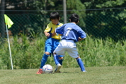 2021年7月11日・17日に開催された第17回三条市ジュニアサッカー大会の様子