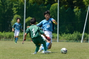 2021年7月11日・17日に開催された第17回三条市ジュニアサッカー大会の様子