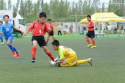 2021年9月23日に開催されたマルソーカップ第19回新潟県キッズサッカー大会県大会の様子