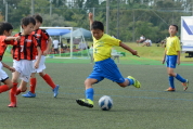 2021年9月23日に開催されたマルソーカップ第19回新潟県キッズサッカー大会県大会の様子