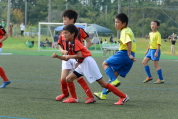 2021年9月23日に開催されたマルソーカップ第19回新潟県キッズサッカー大会県大会の様子