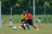 2021年7月18日・8月8日に開催されたマルソーカップ第19回キッズサッカー大会県央予選の様子