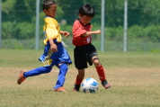 2021年7月18日・8月8日に開催されたマルソーカップ第19回キッズサッカー大会県央予選の様子