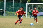 2021年7月18日・8月8日に開催されたマルソーカップ第19回キッズサッカー大会県央予選の様子