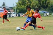 2021年7月18日・8月8日に開催されたマルソーカップ第19回キッズサッカー大会県央予選の様子