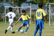 2021年8月29日に開催された第29回新潟県U-11サッカー大会県央予選の様子