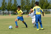 2021年8月29日に開催された第29回新潟県U-11サッカー大会県央予選の様子