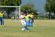 2021年8月29日に開催された第29回新潟県U-11サッカー大会県央予選の様子