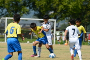 2021年8月29日に開催された第29回新潟県U-11サッカー大会県央予選の様子