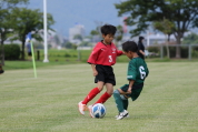 マルソーカップ第20回キッズサッカー大会の様子