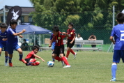 第6回パール金属カップ県央地区少年サッカー大会の様子