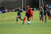 U-11サッカー大会県央予選の様子