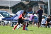 U-11サッカー大会県央決勝の様子