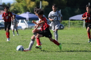 U-11サッカー大会県央決勝の様子