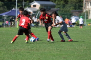 U-11サッカー大会県央決勝の様子