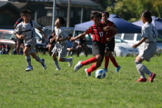 U-11サッカー大会県央決勝の様子