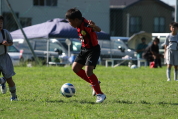 U-11サッカー大会県央決勝の様子