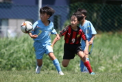 パール金属カップサッカー大会の様子