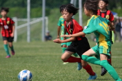 パール金属カップサッカー大会の様子