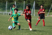 パール金属カップサッカー大会の様子