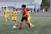 北信越スポーツ少年団サッカー大会の様子