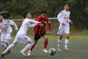 第47回全日本U-12サッカー選手権新潟県大会の様子