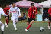 第47回全日本U-12サッカー選手権新潟県大会の様子