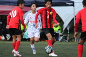 第47回全日本U-12サッカー選手権新潟県大会の様子