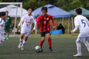 第47回全日本U-12サッカー選手権新潟県大会の様子